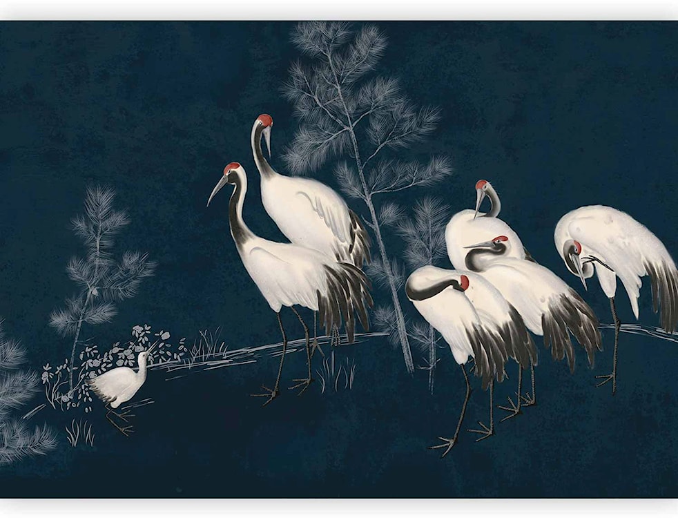 Fototapeta Nocne zgromadzenie 250x175 cm