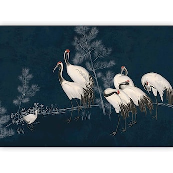 Fototapeta Nocne zgromadzenie 250x175 cm