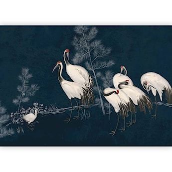 Fototapeta Nocne zgromadzenie 400x280 cm