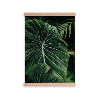 Plakat Llyris 50x70 cm rama drewniana naturalna