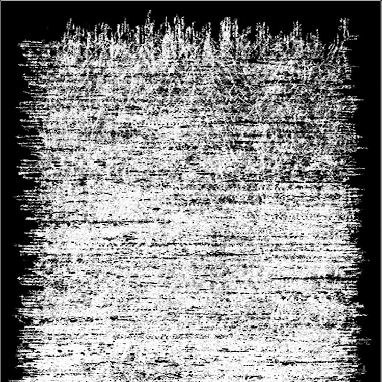 Dywan nowoczesny Terwovers 180x280 cm biało-czarny  - zdjęcie 4