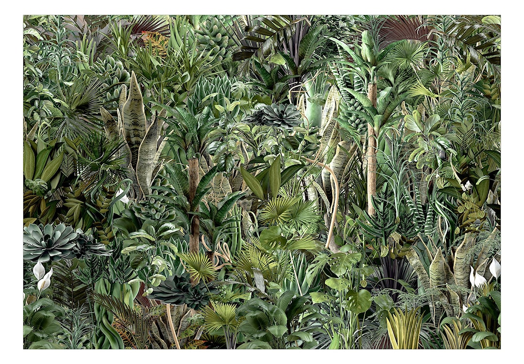 Fototapeta Bogactwo dżungli 300x210 cm