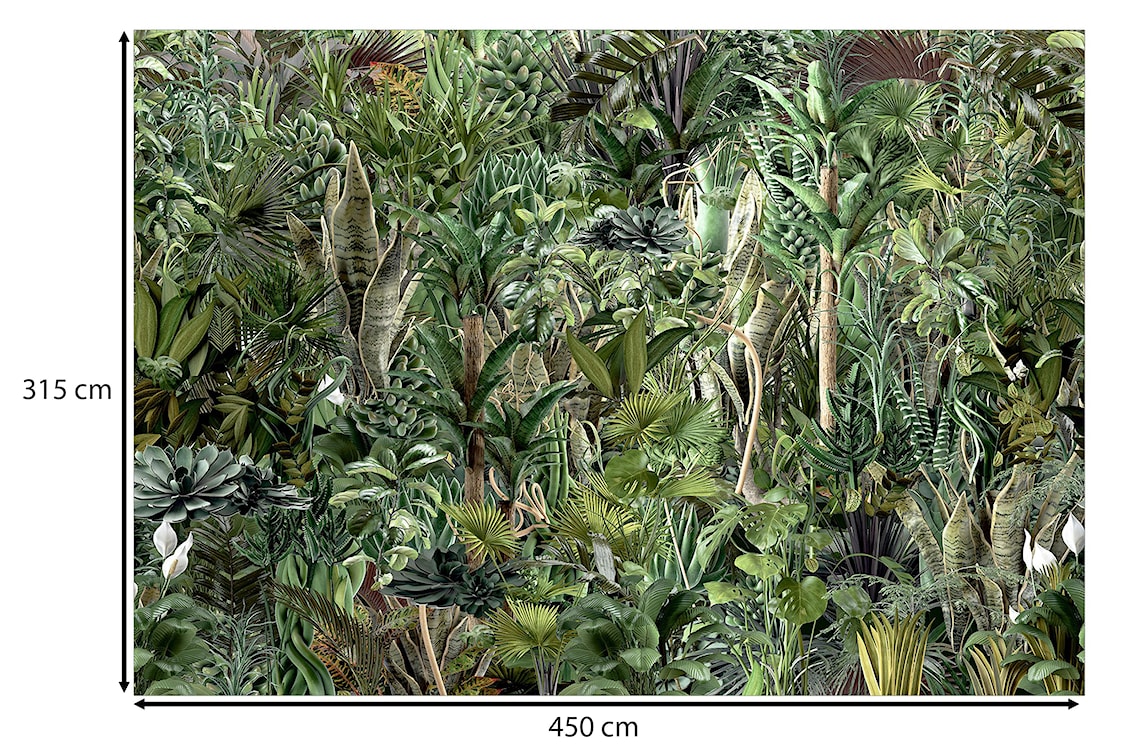 Fototapeta Bogactwo dżungli 450x315 cm  - zdjęcie 3