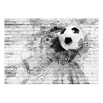 Fototapeta Dynamika futbolu 450x315 cm