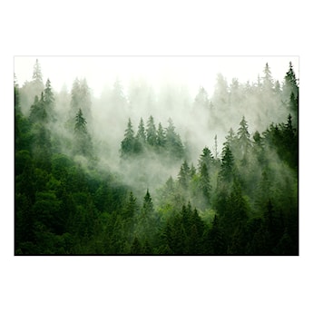 Fototapeta Górski las zielony 300x210 cm