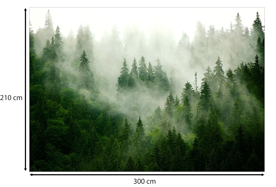 Fototapeta Górski las zielony 300x210 cm  - zdjęcie 3