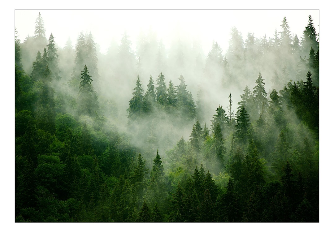 Fototapeta Górski las zielony 450x315 cm