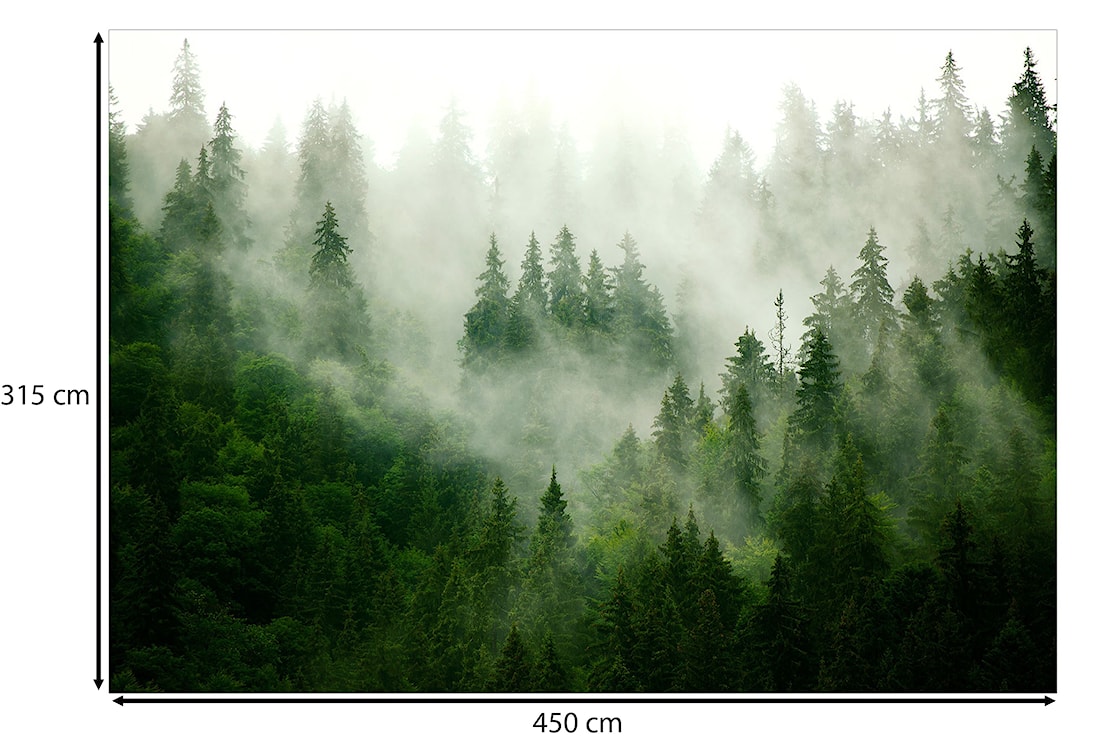 Fototapeta Górski las zielony 450x315 cm  - zdjęcie 3