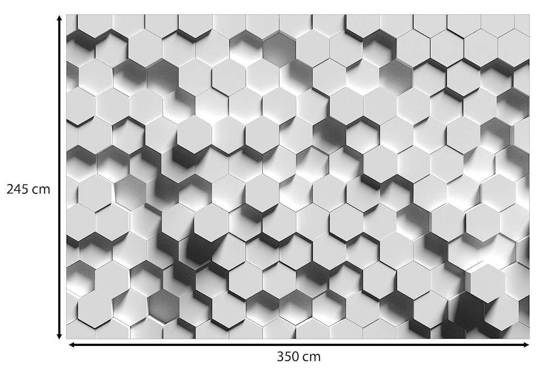 Fototapeta Heksagonalna świadomość 350x245 cm  - zdjęcie 3