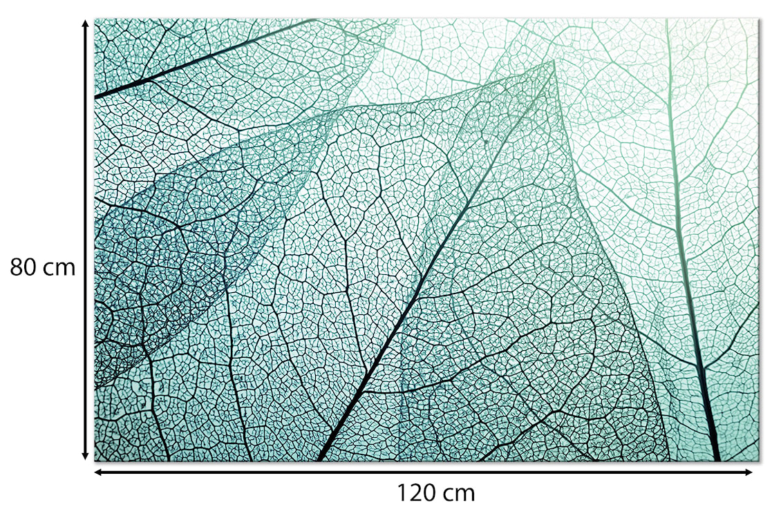 Obraz Makro flora jednoczęściowy 120x80 cm szeroki  - zdjęcie 3