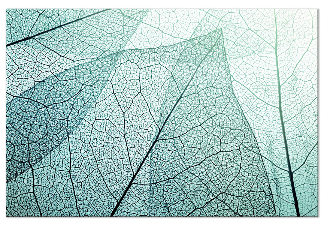 Obraz Makro flora jednoczęściowy 90x60 cm szeroki