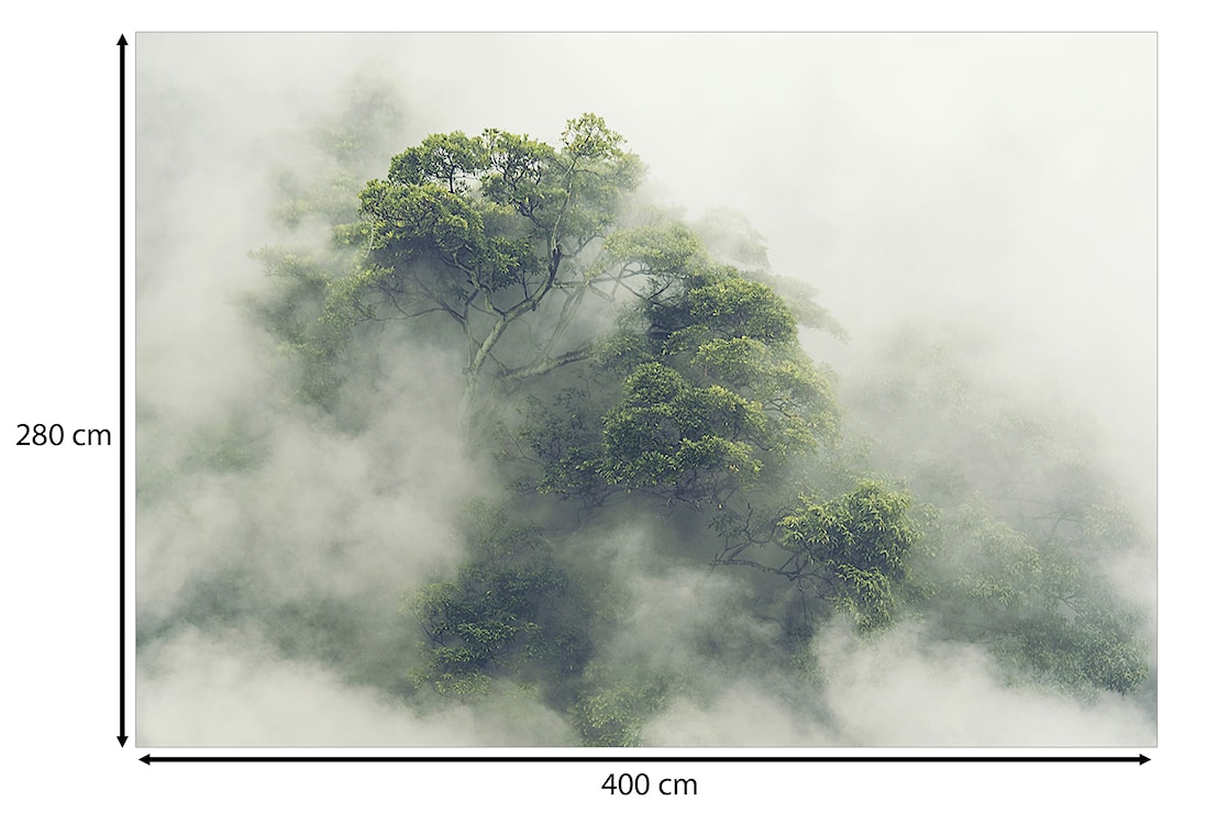 Fototapeta Mglista Amazonia 400x280 cm  - zdjęcie 3
