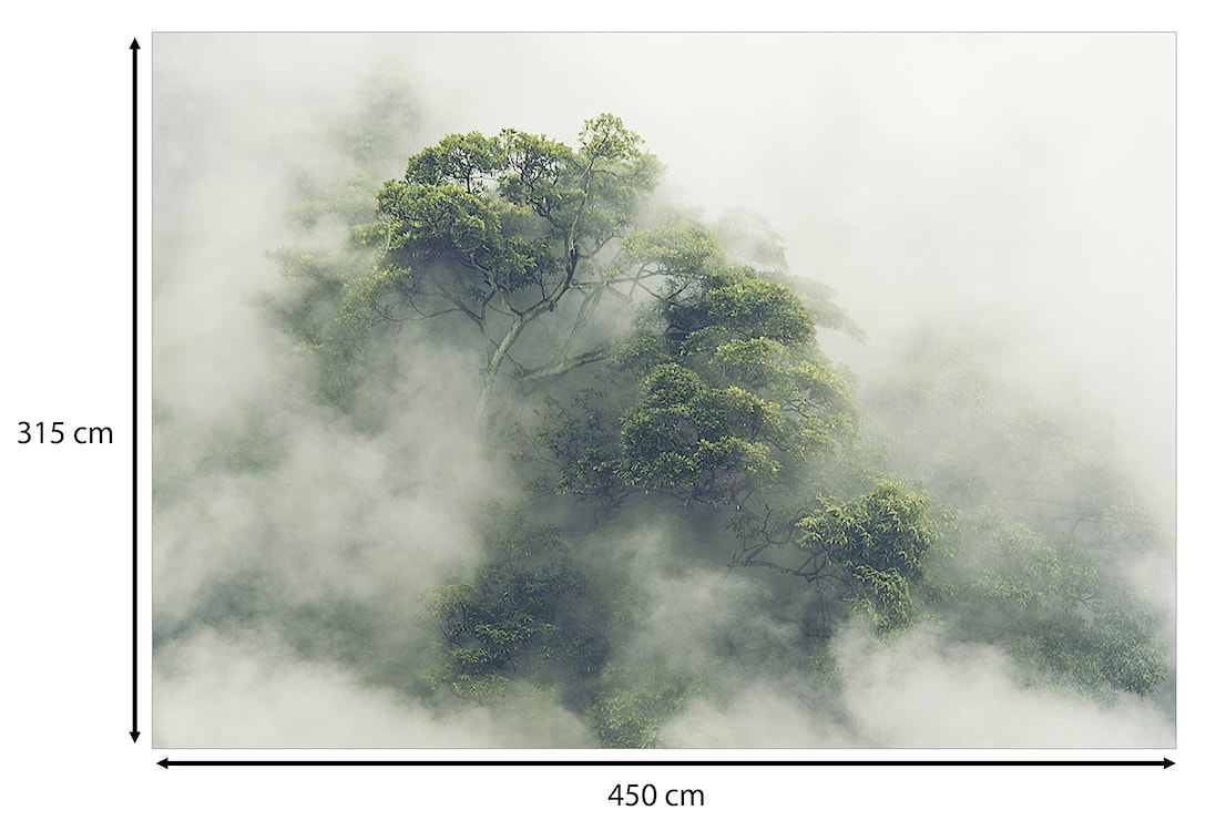Fototapeta Mglista Amazonia 450x315 cm  - zdjęcie 3