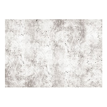 Fototapeta Miejski styl: Beton 450x315 cm