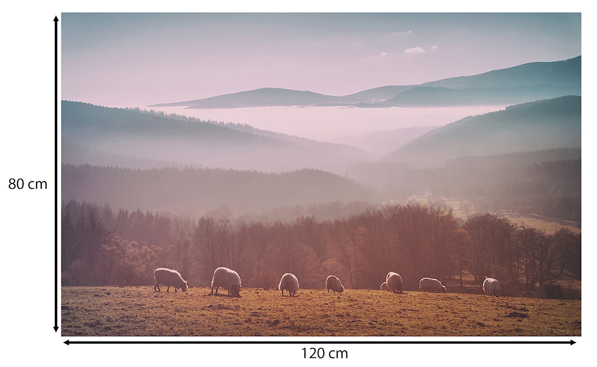 Obraz Stado owiec jednoczęściowy 120x80 cm szeroki  - zdjęcie 3