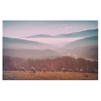 Obraz Stado owiec jednoczęściowy 90x60 cm szeroki
