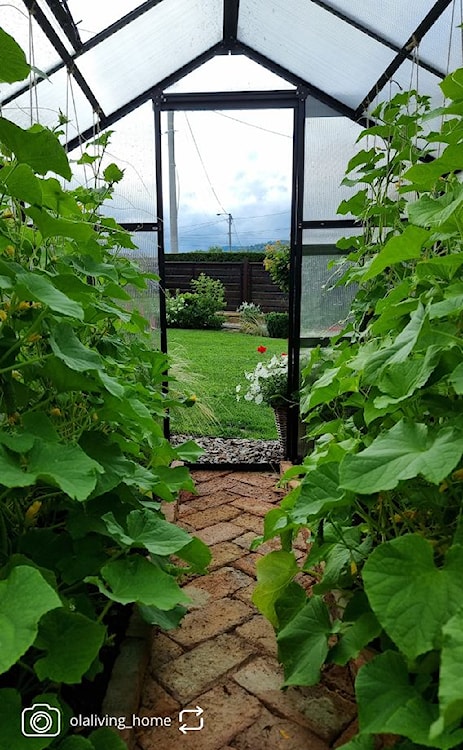 Szklarnia ogrodowa aluminiowa poliwęglanowa 6,72 m2 sześciosekcyjna z fundamentem 184x365 cm czarna  - zdjęcie 14