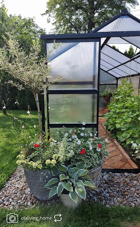 Szklarnia ogrodowa aluminiowa poliwęglanowa 6,72 m2 sześciosekcyjna z fundamentem 184x365 cm czarna  - zdjęcie 11