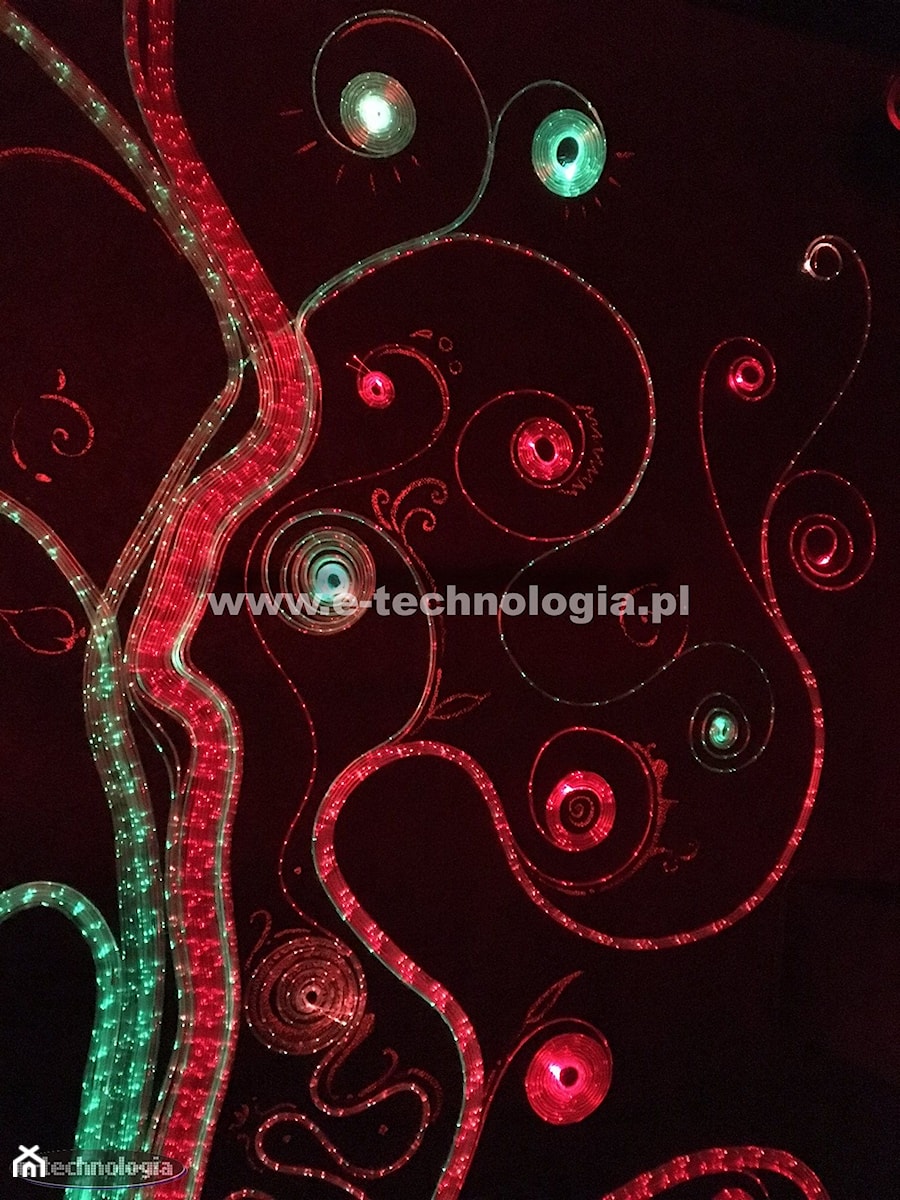 Oświetlenie dekoracyjne ścian inspiracje - zdjęcie od E-TECHNOLOGIA Leszek Łazarski