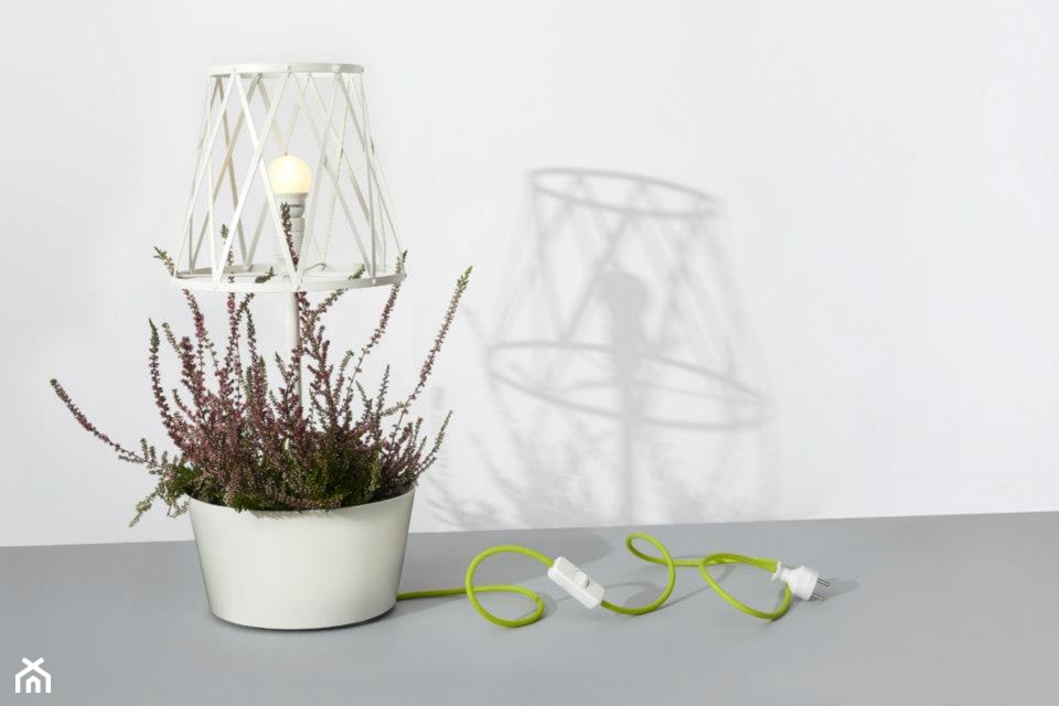 Green lamp - zdjęcie od SIESTA - Homebook