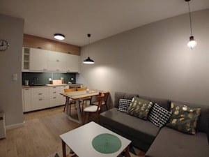 Mieszkanie w stylu Skandynawskim - Mały szary salon z kuchnią z jadalnią - zdjęcie od smokemylife