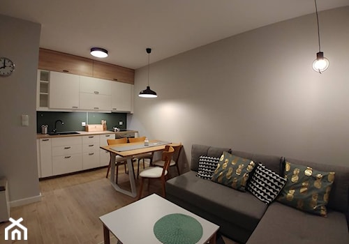 Mieszkanie w stylu Skandynawskim - Mały szary salon z kuchnią z jadalnią - zdjęcie od smokemylife