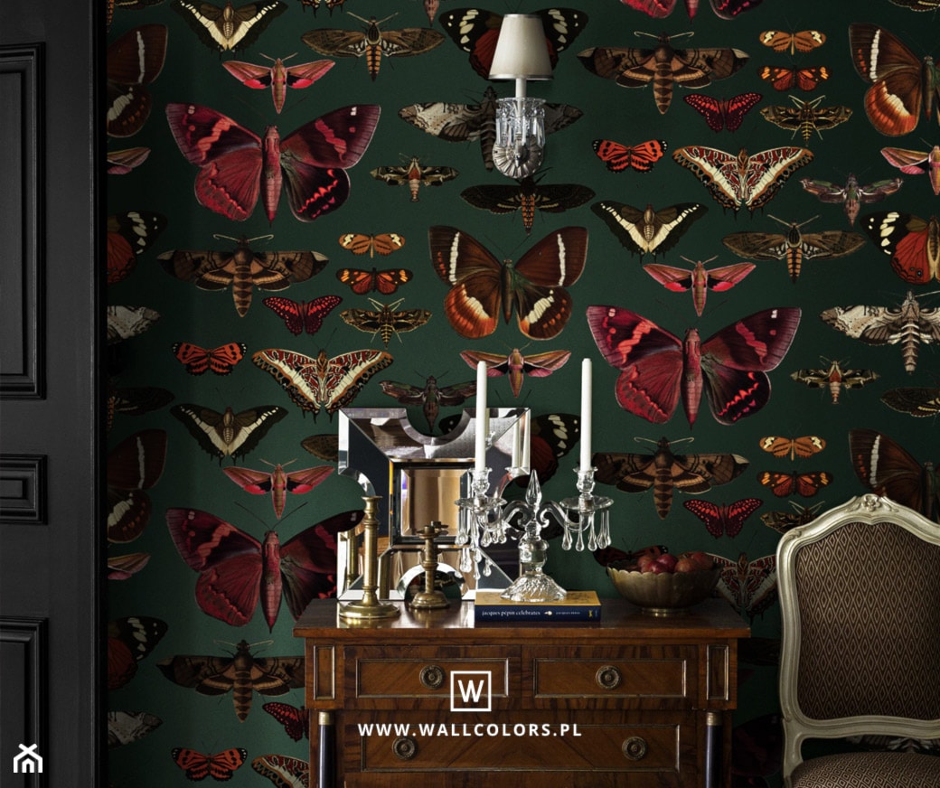 Tapeta Motyle - WALLCOLORS - zdjęcie od wallcolors - Homebook