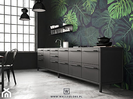 Aranżacje wnętrz - Kuchnia: Tapeta Zielona monstera - WALLCOLORS - wallcolors. Przeglądaj, dodawaj i zapisuj najlepsze zdjęcia, pomysły i inspiracje designerskie. W bazie mamy już prawie milion fotografii!