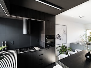 Villa Antoninek SW10 - Kuchnia, styl minimalistyczny - zdjęcie od ENDE marcin lewandowicz
