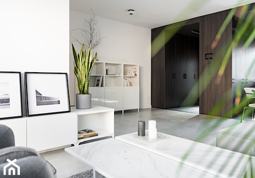 Villa Antoninek SW10 - Salon, styl minimalistyczny - zdjęcie od ENDE marcin lewandowicz
