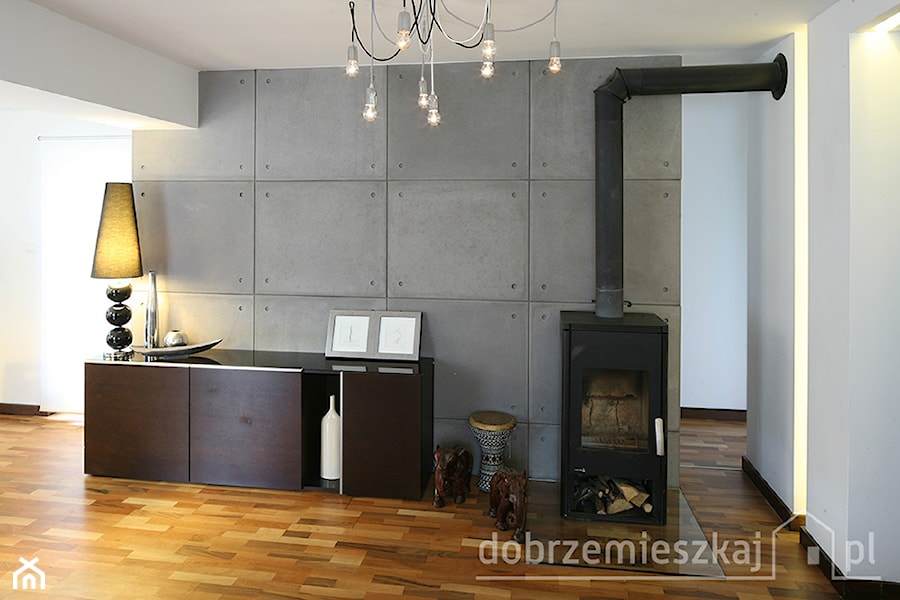 dom pod Poznaniem - Salon, styl industrialny - zdjęcie od ENDE marcin lewandowicz