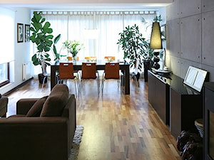 dom pod Poznaniem - Salon, styl nowoczesny - zdjęcie od ENDE marcin lewandowicz