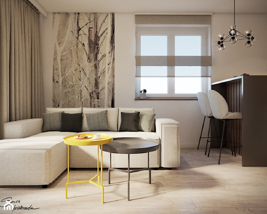 Mieszkanie w Brzozowie - Salon, styl nowoczesny - zdjęcie od SMOLIK I WIATROWSKA projektowanie wnętrz online