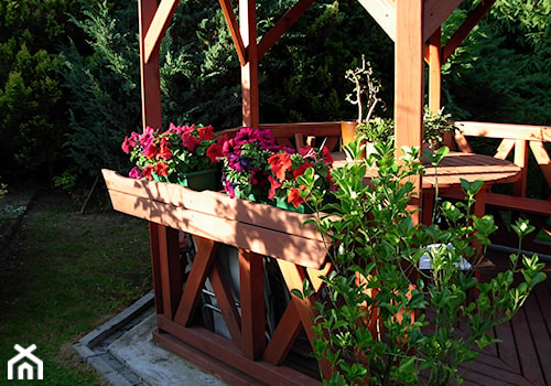 Tajemniczy ogród - Ogród - zdjęcie od igasamek7@wp.pl