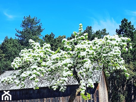 Aranżacje wnętrz - : - Aleklab. Przeglądaj, dodawaj i zapisuj najlepsze zdjęcia, pomysły i inspiracje designerskie. W bazie mamy już prawie milion fotografii!