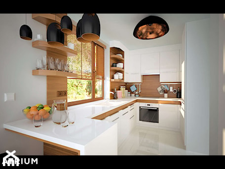 Aranżacje wnętrz - Kuchnia: Double House III - Kuchnia - Wizualizacja - Studio Atrium. Przeglądaj, dodawaj i zapisuj najlepsze zdjęcia, pomysły i inspiracje designerskie. W bazie mamy już prawie milion fotografii!