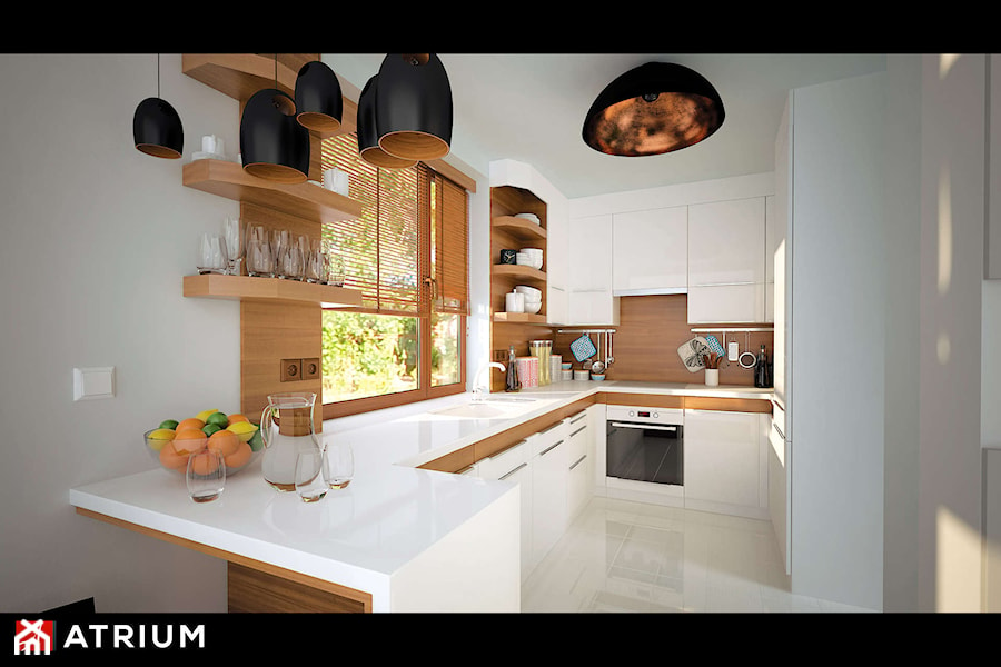 Double House III - Kuchnia - Wizualizacja - zdjęcie od Studio Atrium
