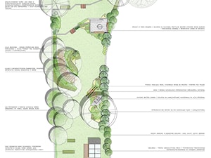 - zdjęcie od MOSS Architektura krajobrazu