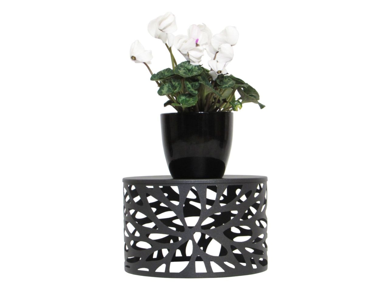 Stojak na kwiaty Hawaii S (Grigo - czarny metalizowany) - zdjęcie od KIZO Design • Meble Nowoczesnych Wnętrz! - Homebook