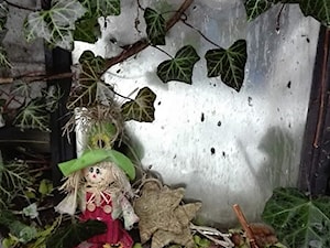 zimowy strażnik ogrodu - zdjęcie od Mira Niedzielska