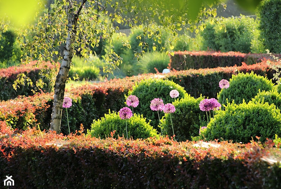 #tajemniczyogród - Duży ogród za domem - zdjęcie od w_natloku_marzen
