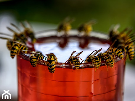 Aranżacje wnętrz - : - Baska.W. Przeglądaj, dodawaj i zapisuj najlepsze zdjęcia, pomysły i inspiracje designerskie. W bazie mamy już prawie milion fotografii!