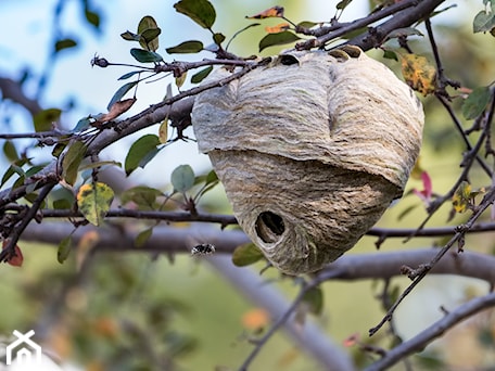 Aranżacje wnętrz - : - Baska.W. Przeglądaj, dodawaj i zapisuj najlepsze zdjęcia, pomysły i inspiracje designerskie. W bazie mamy już prawie milion fotografii!