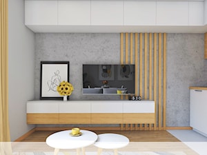 Salon z kuchnią i jadalnią na 18m2 - zdjęcie od Projektowanie, aranżacja wnętrz Joanna Lewandowska