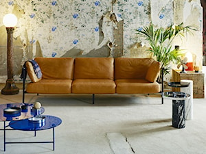 X RAY :: sofa - zdjęcie od Pleasure by Ann. DESIGN STORE :: unikatowe artykuły wyposażenia wnętrz