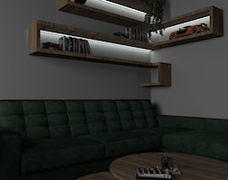 Salon - podświetlana półka - zdjęcie od Aleksandra Regiec - projektowanie wnętrz - Homebook