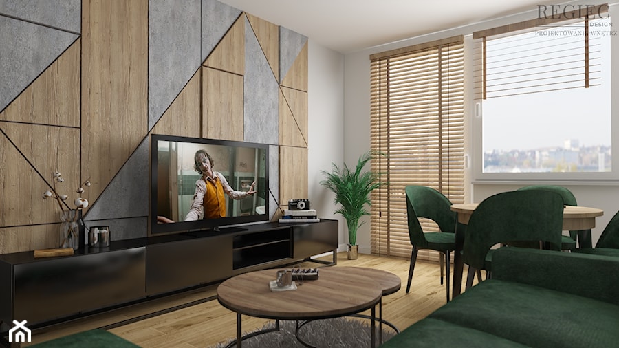 Salon z efektowną ścianą TV - zdjęcie od Aleksandra Regiec - projektowanie wnętrz