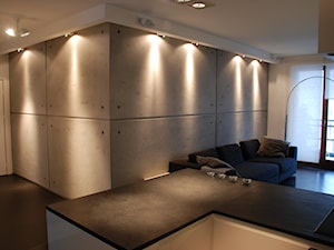 salon, beton architektoniczny - zdjęcie od Marek Niemczuk Architekci