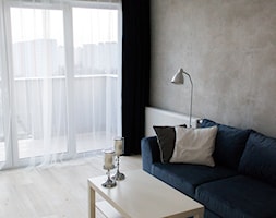 Mieszkanie na wynajem - Mały szary salon, styl nowoczesny - zdjęcie od Biuro projektowe "Patio" Ewa Szymczak - Homebook