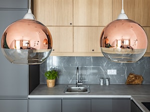 kuchnia mieszkanie na wynajem - zdjęcie od Anna Ksienzyk - Architekt Wnętrz